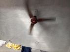 Fan for sale