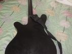 Guitar for sell