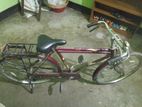 cycle for sell