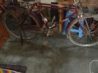 Bicycle for sale