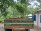 ট্রাক্টর বিক্রি হবে