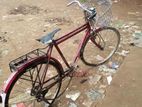 Bicycle for sell.