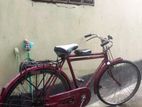 Bicycle for sell