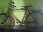 Bicycle for sell