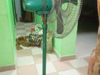 Fan for sell