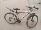 Bicycle Sale