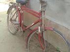 Bicycle for sell