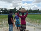 জমি বিক্রি করা হবে