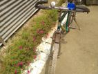 Bicycle for sell