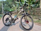 Phoenix Bicycle for sale