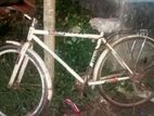 Bicycle for sell