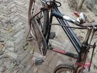 Bicycle for Sell