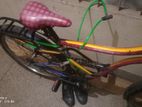 Cycle for sell