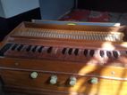 Harmonium for sale