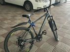 Duranta Bicycle for sale