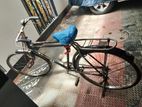 Phoenix Bicycle for sell