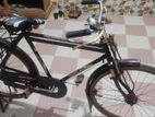 Bicycle for sell