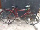 Bicycle for Sale