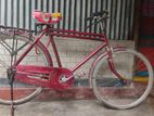 Duranta Bicycle for sale