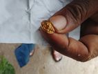 Ring for sell