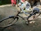 Duranta Extreme Bicycle for sale