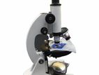 Biological Microscope L101
