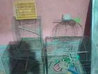 bird 18*24 cage