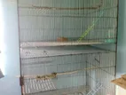 Bird Cage Almost New