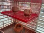 Bird Cage China Khacha