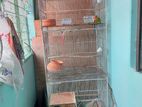 Bird Cage for sell