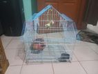 Bird cage