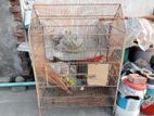 Bird Cage for sell.