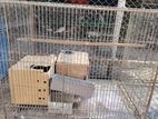 Bird cage