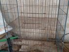 Bird Cage , khacha, khop