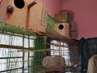Bird cage for sell.