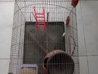 Bird cage with set up