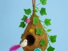 Bird Nest