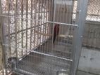 Birdcage Want to Sell (পাখির খাঁচা)