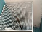 Birds Cage