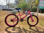 Bixo 20″ Kids Cycle – Full Servicing | New Parts Installed ৳৪,২০০