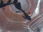 black Moscow Guppy