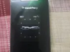 Blackberry Flip 8220 T (Used)