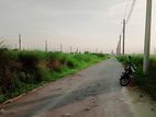 ব্লক পি -3 katha ready plot sale