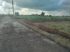 Block-M / 3 Katha Plot Urgent Sell