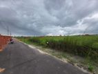 Block-N || 5 Katha North facing Plot Sell 78 Lac Per