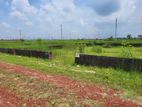 Block-N 5 Katha North facing plot sell