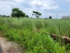 Block=P,, 4 katha North facing , Ready Plot Sell