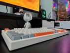 Blue Switch Mechanical Keyboard | Fast, Clicky & Durable!!