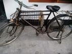 Bicycle for sell