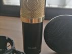 BM 800 condenser microphone